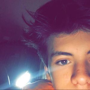 Meet your Posher, Galeb